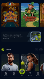 Winzter Casino Screenshot 5